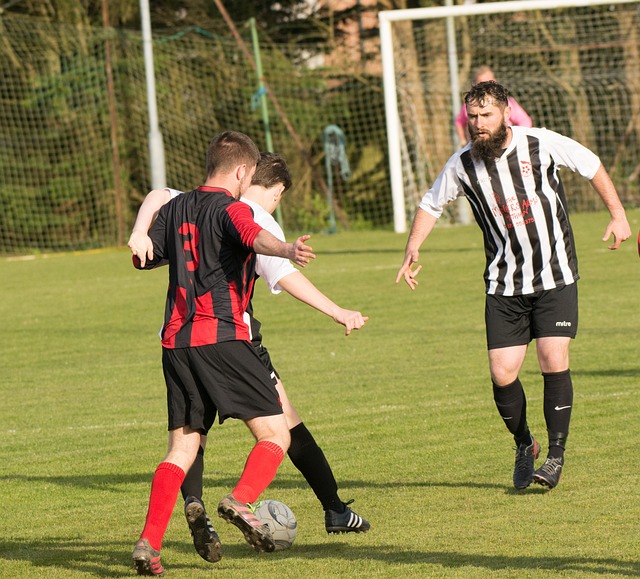 将刘邵子洋 将刘邵子洋