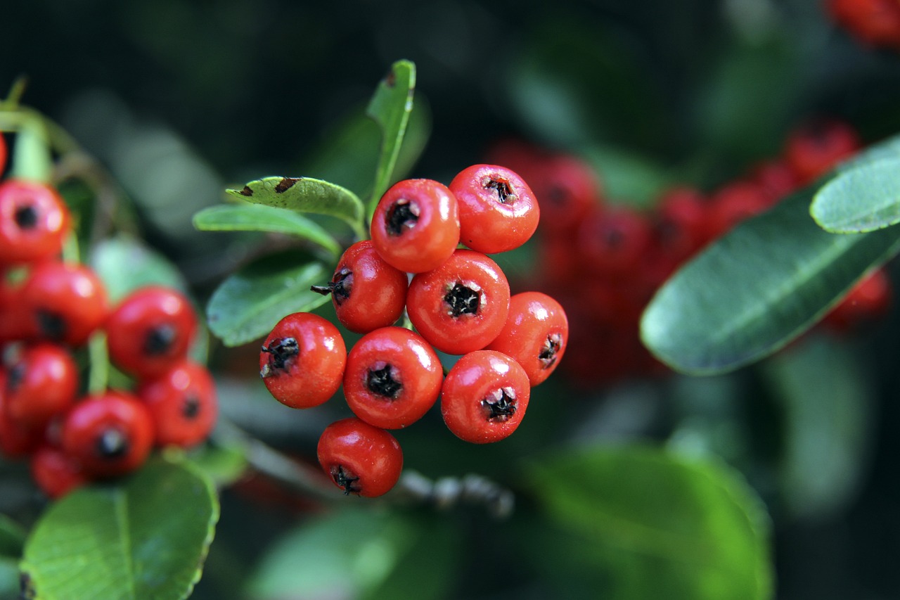 大的空间 大的空间
