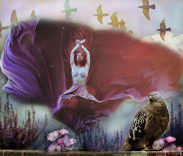 或许是一条 或许是一条