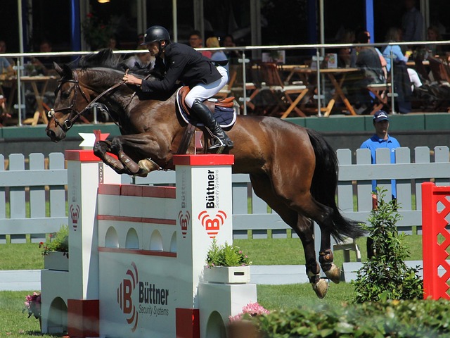 怎样的使命 怎样的使命