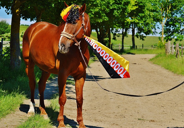 绝了!NBA啦啦队真空上阵,霍华德前任自曝内幕:3年换5个男友?.
