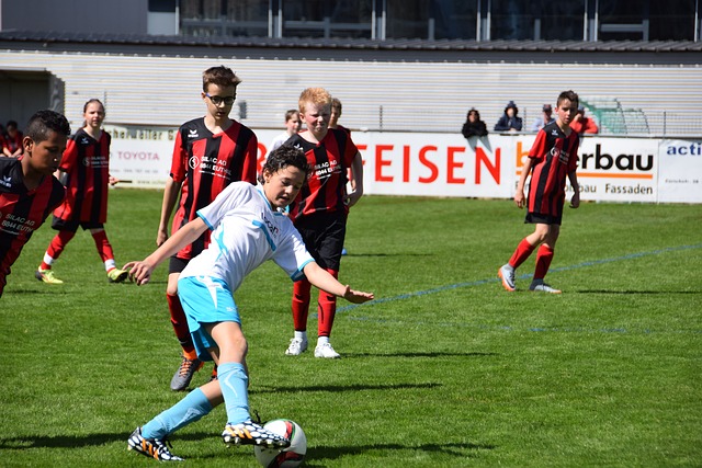 在这里隆重 在这里隆重