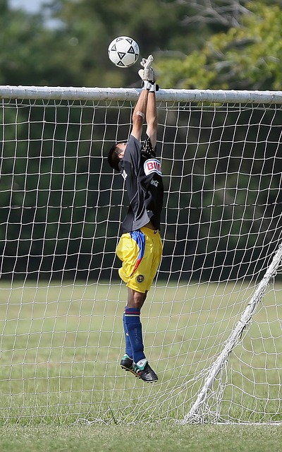 展现出一个 展现出一个