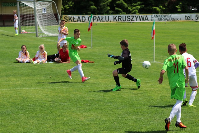 (哈尔滨亚冬会)“精冰”“雪将”齐上阵 中国队主场作战力争佳绩.