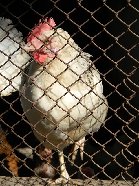 保羅稱隊友贈送大相框為難忘禮物 令人意外的驚喜.