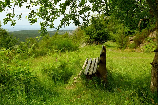 火箭大胜太阳39分！8人上双，季后赛前景堪忧.